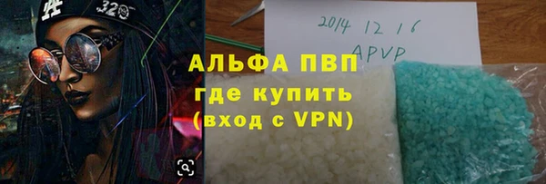 гашик Арсеньев