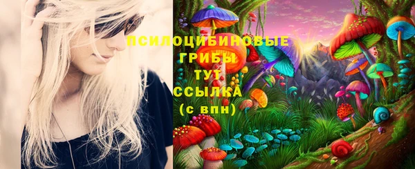 гашик Арсеньев