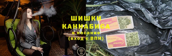гашик Арсеньев