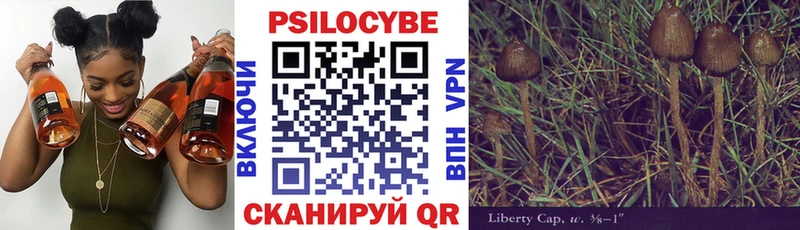 Псилоцибиновые грибы мицелий  закладки  Суоярви 